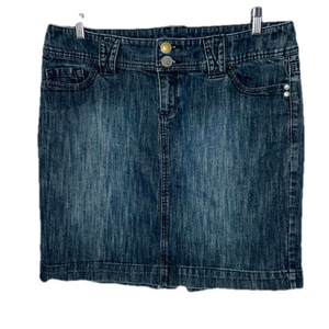 Insider Denim Jean Skirt